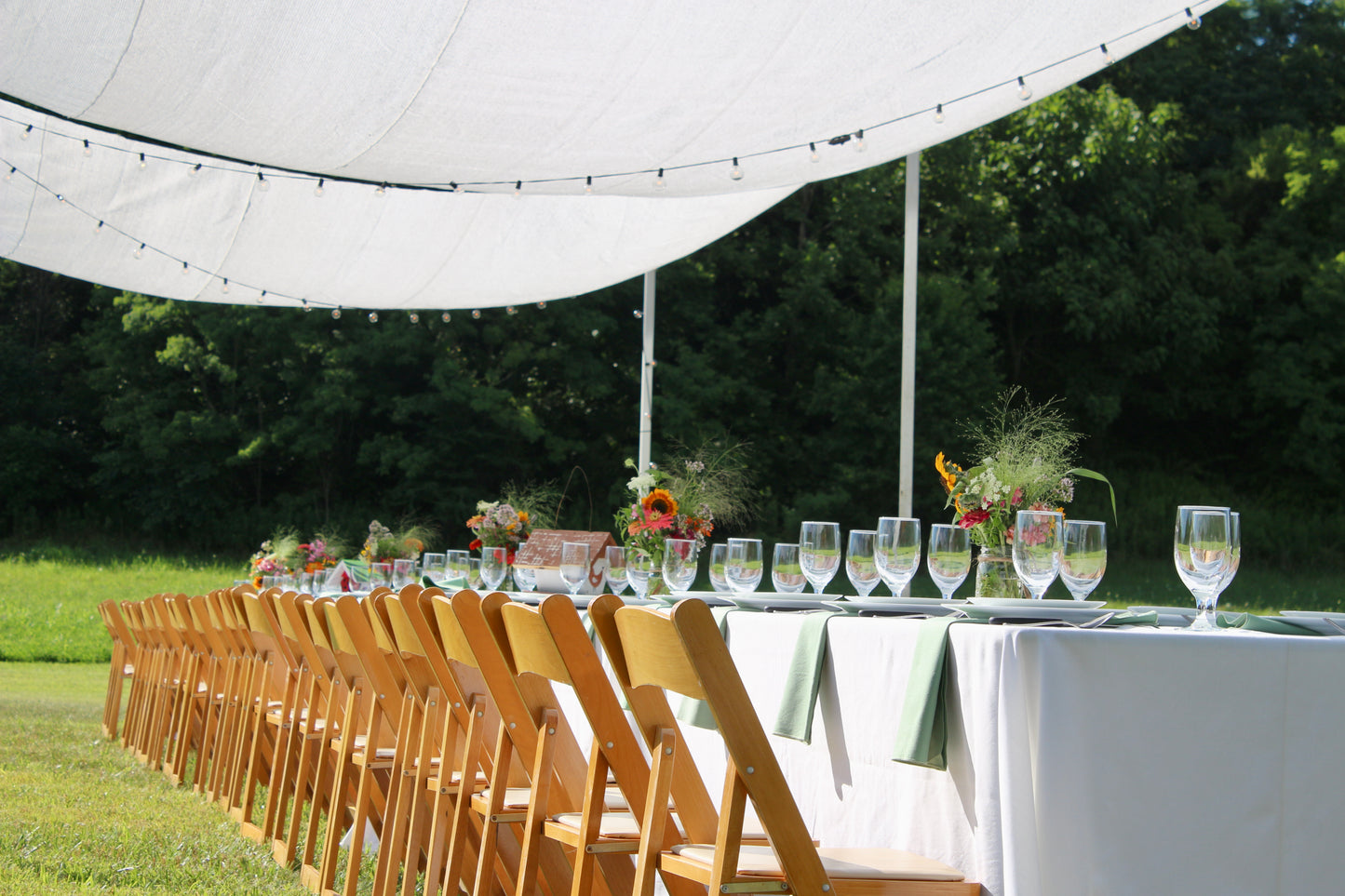 International wine pairing | Summer Garden Dinner with Diamondjack Wine Bar