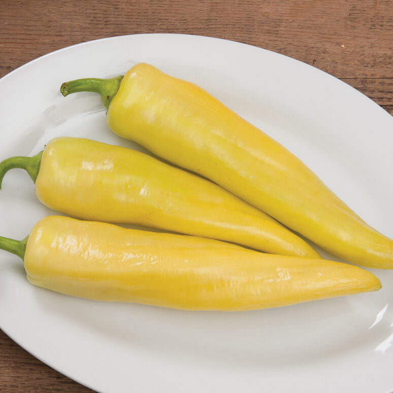 Sweet Banana Pepper